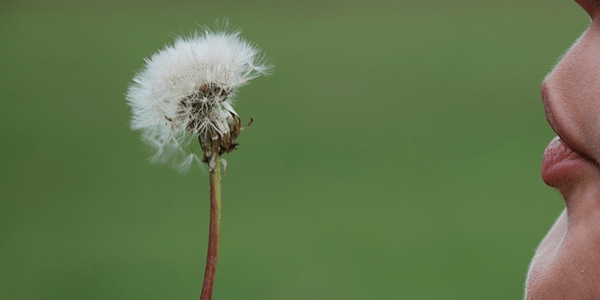 Los factores del entorno que influyen en su difusión de un post